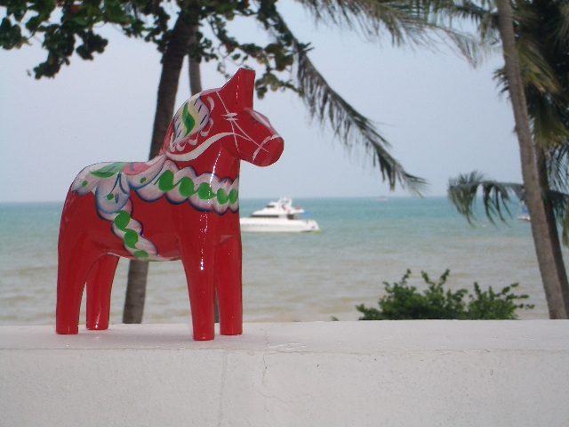 pic:Dala Hast on our Balcony